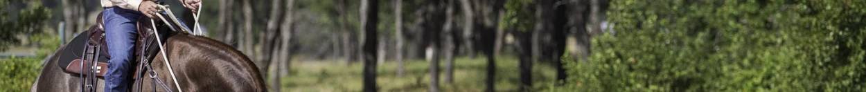 helping a horse that is spooked on the trail