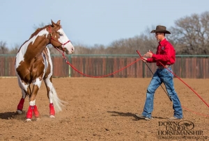 FILES2f20152f042f0414_06.jpg.jpg