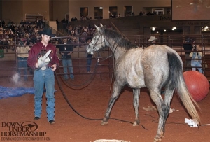 FILES2f20152f092f0915_05.jpg.jpg