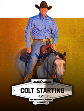 CLINTON ANDERSON COLT STARTING Horse training riding 4 DVDS 