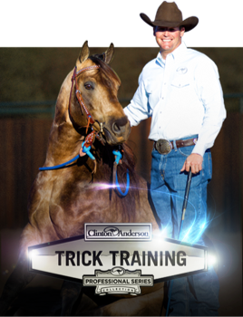 Сlintоn Аndersоn Colt Starting Kit Foal Training and Trick Training 23 DVDs Lot 