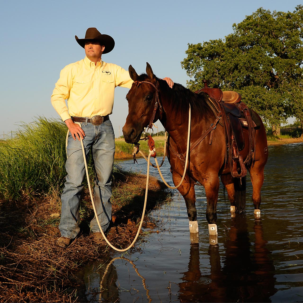 Clinton Anderson Method Horse Training Methods Downunder