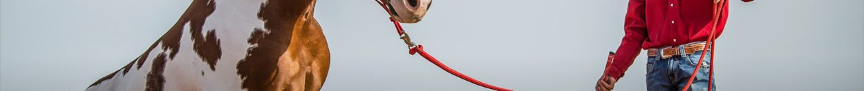 Clinton Anderson Certified Clinicians