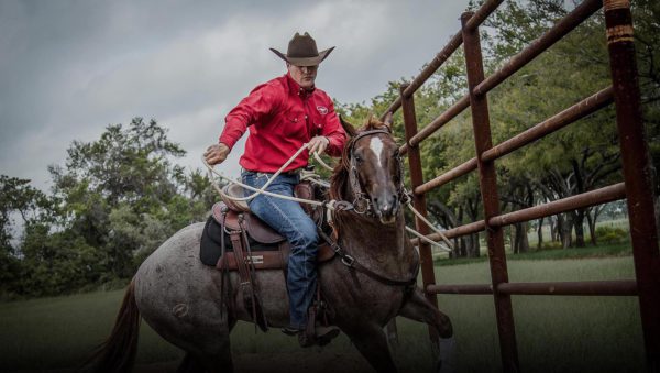 Horse Trainer Clinton Anderson