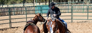 Training Resources Downunder Horsemanship