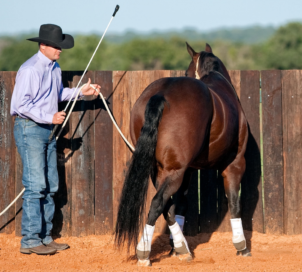 sidepassing on fence yield forequarters