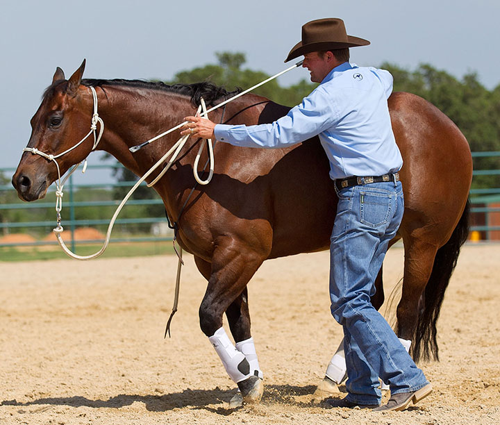 Stand behind the horse's drive line