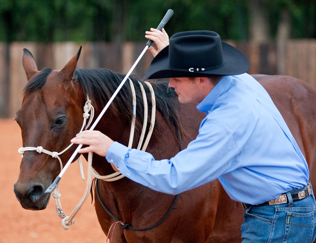 Stop horse from backing up by tapping air for rythem.