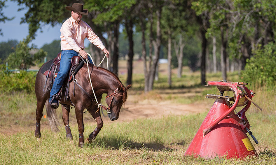 Approach the object that spooked the horse