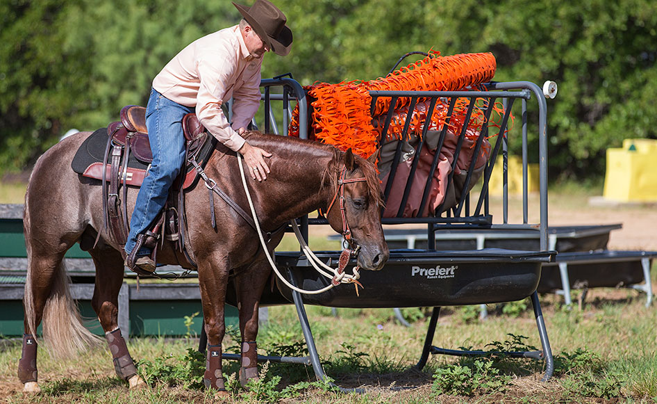 Horse rests next to object that spooked him.