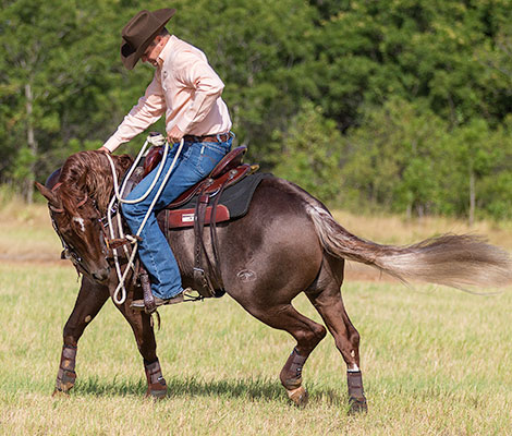 Horse spooked by invisible object.