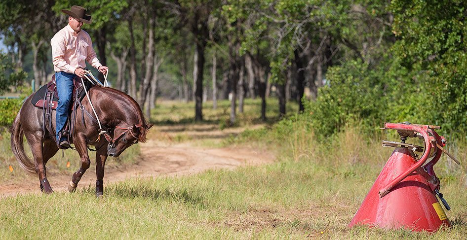 Retreat from object that spooked horse.