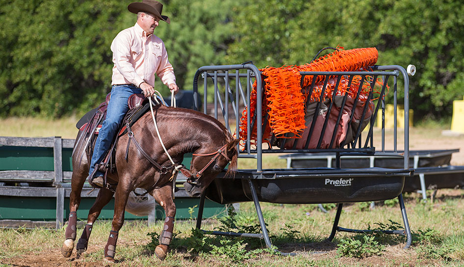 Trot horse around object that scares him.