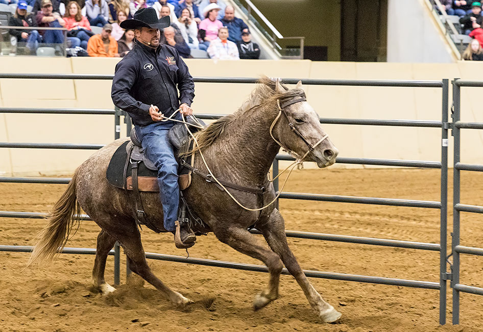 Get horse's feet moving at all 3 gaits.