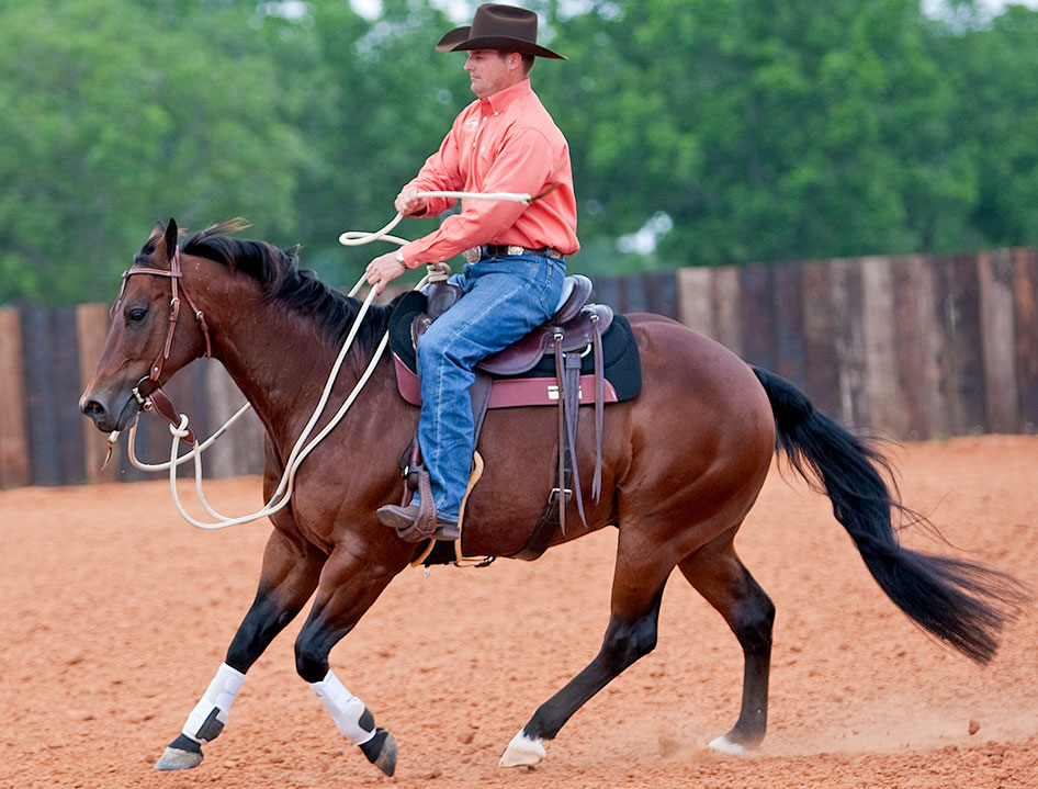 If horse breaks gait, squeeze, cluck and spank. Don't kick.