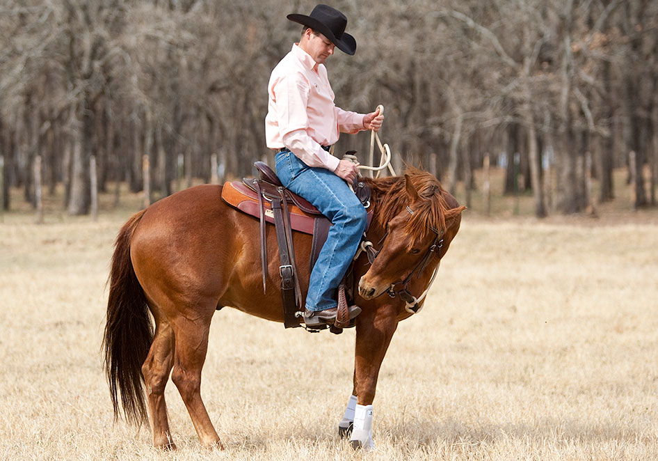 A one rein stop is a life saving excercise.