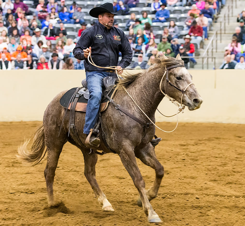 Horse moving feet freely at all 3 gaits.