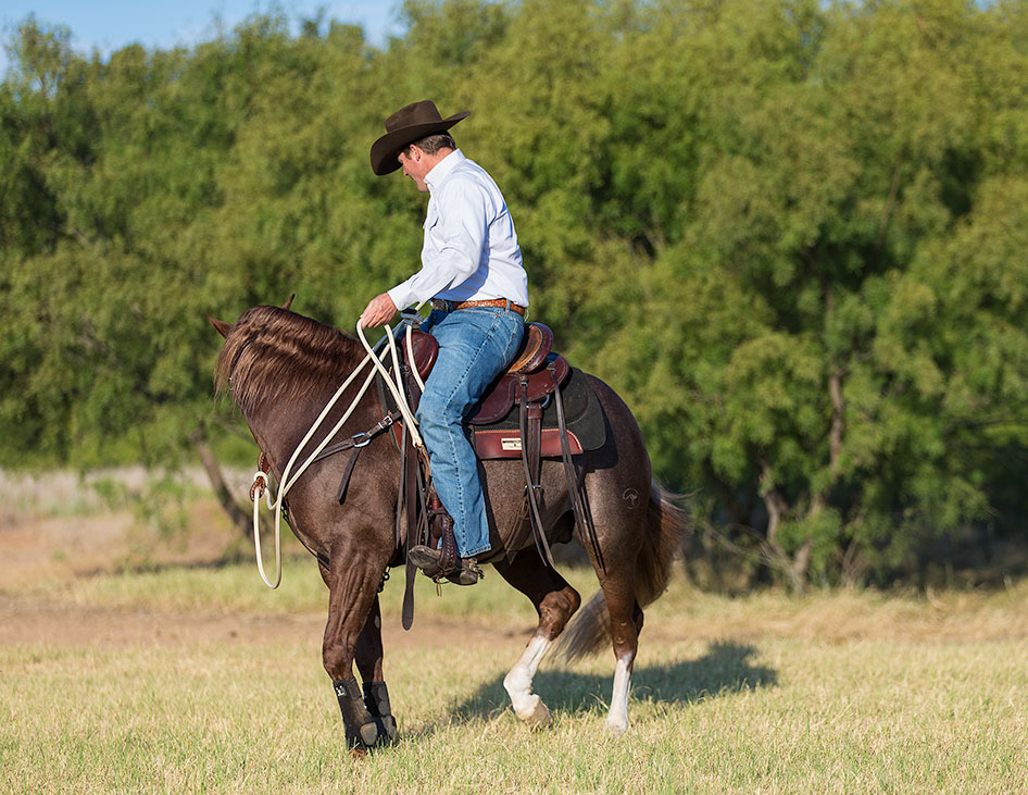 Yield Horse's Hindquarters