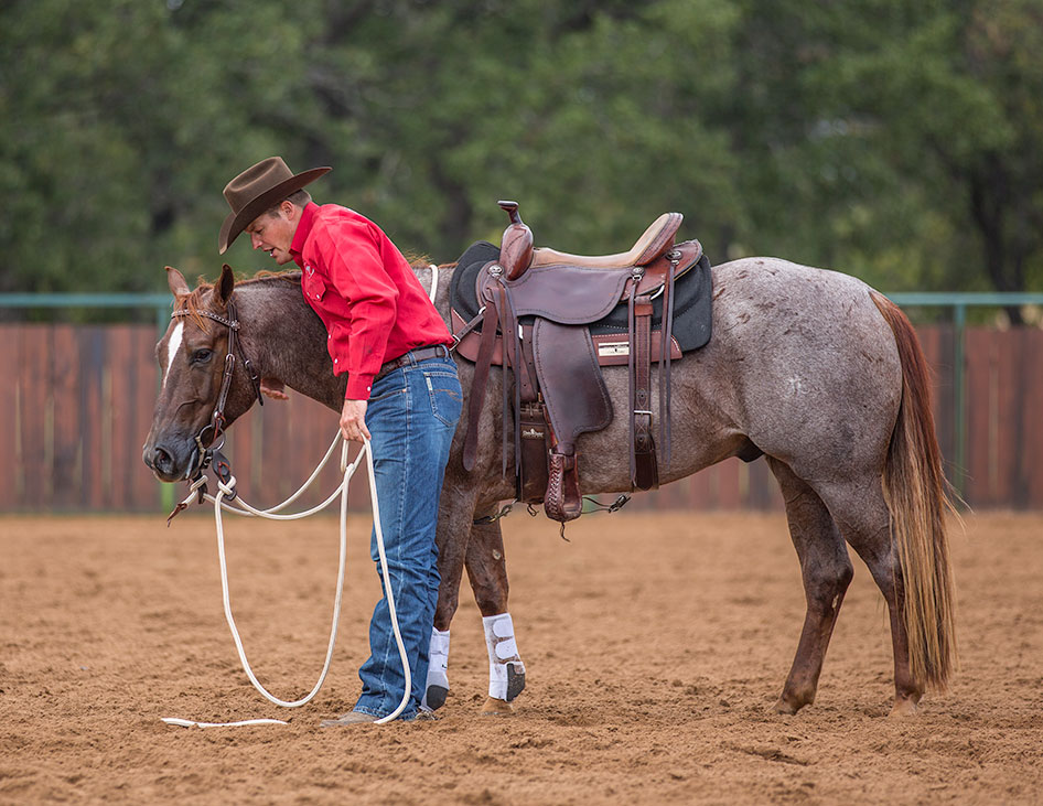 Dismount and take him back to the barn.