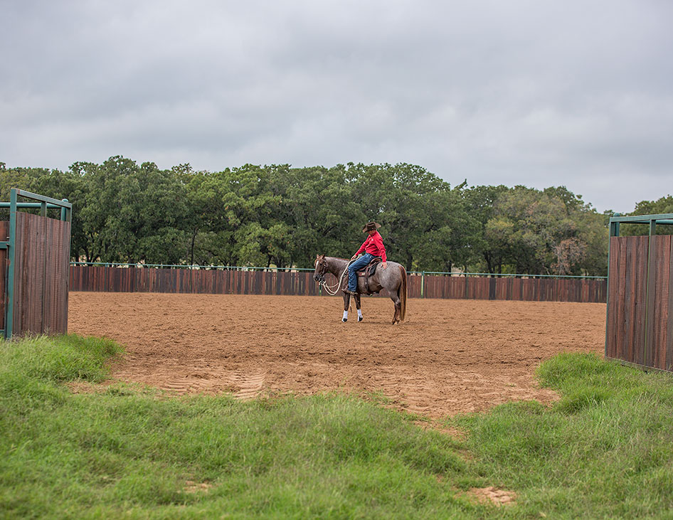 Ride him to the middle of the arena.