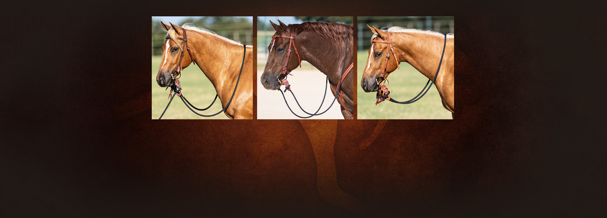 Which Reins are Best for You and Your Horse?