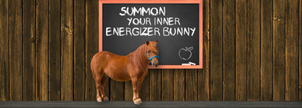 Phoenix_header_energizer-bunny