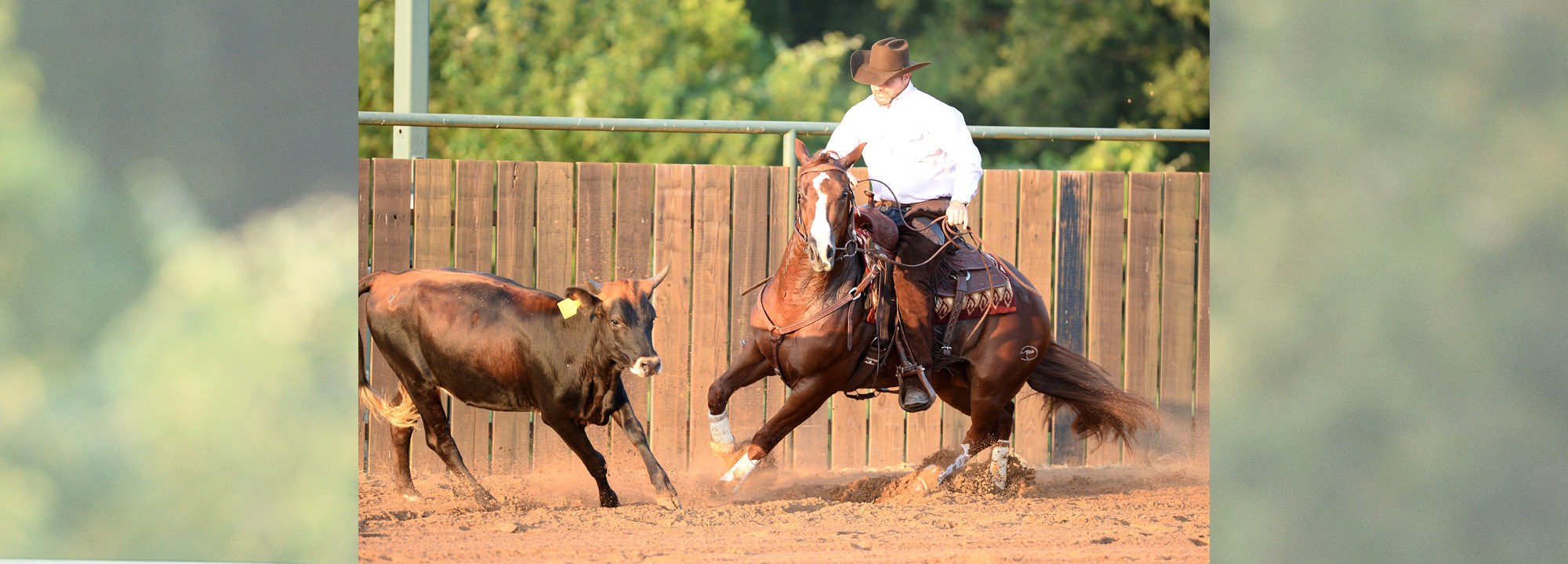 How to Safely Tie Your Horse Using Mecate Reins