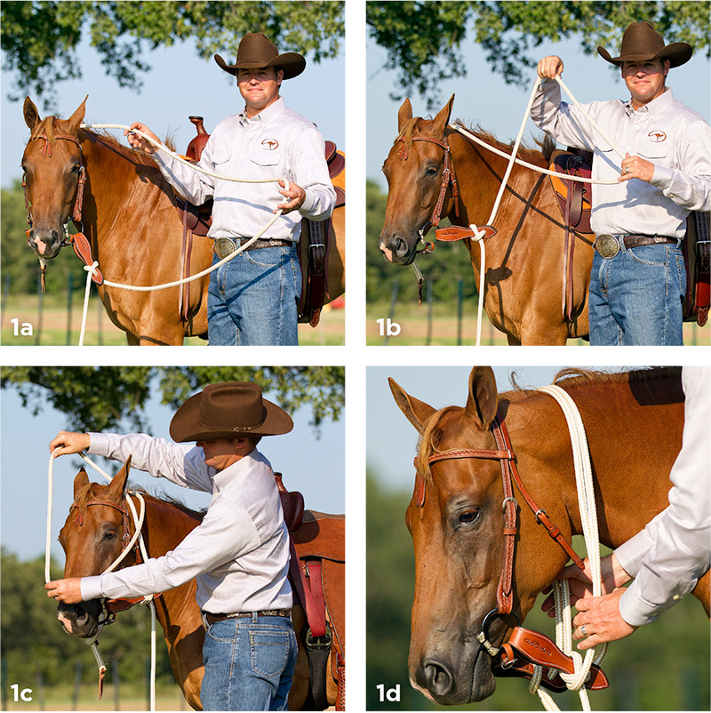 How to Safely Tie Your Horse Using Mecate Reins