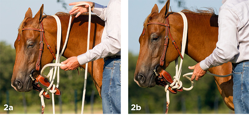 How to Safely Tie Your Horse Using Mecate Reins