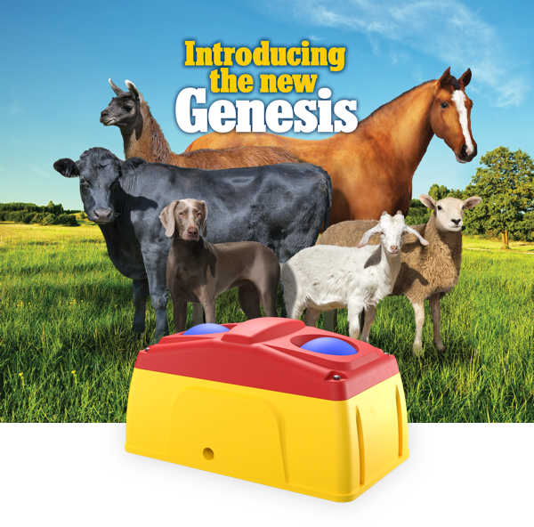 Introducing the new Genesis