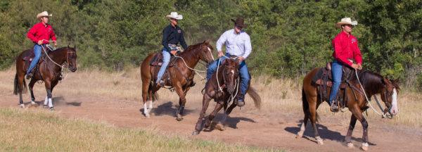 How-to-Correct-a-Horse-That-Jigs