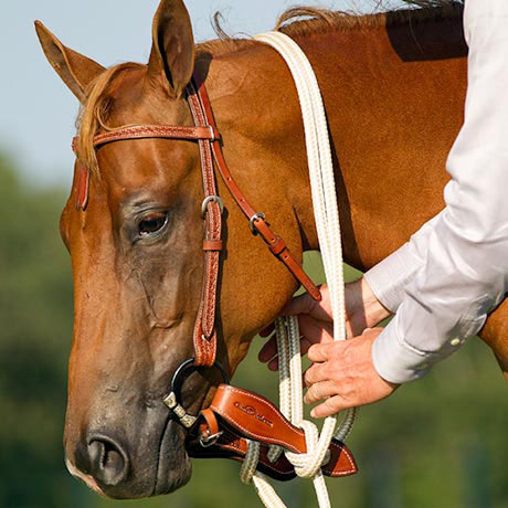 How to Attach Mecate Reins to Slobber Straps