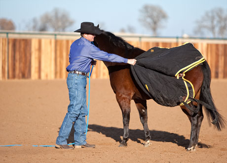 How to Blanket Your Horse the Easy Way