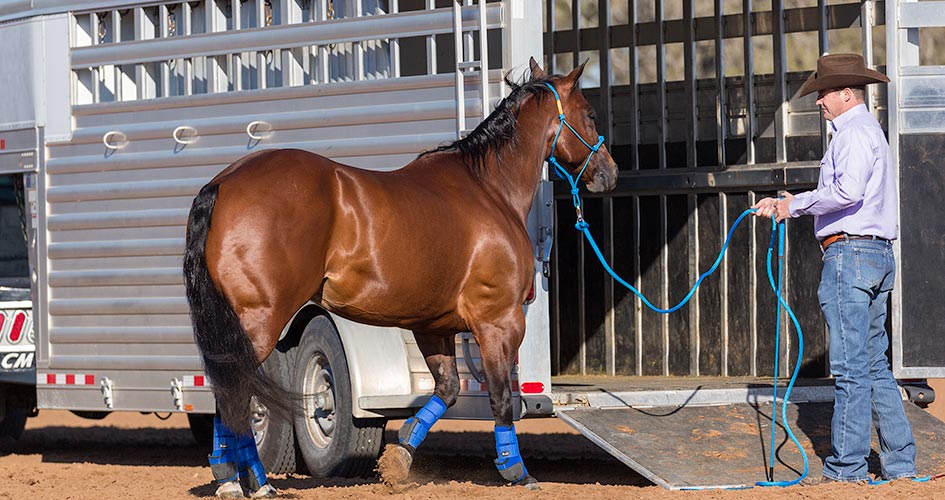 Clinton Anderson Approach and Retreat Method Trailering Horse