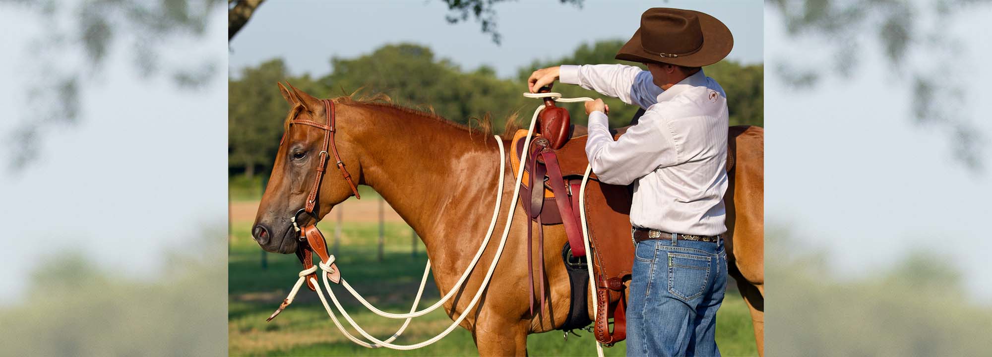 Learn How to Put Your Mecate Bridle Together
