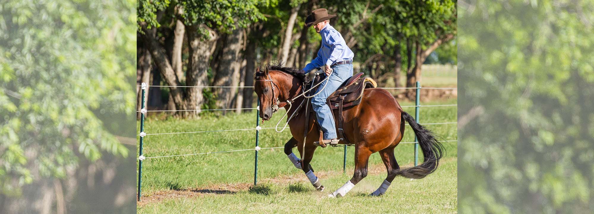 Choosing the right spurs for riding your horse – Our Guide, Naylors Blog