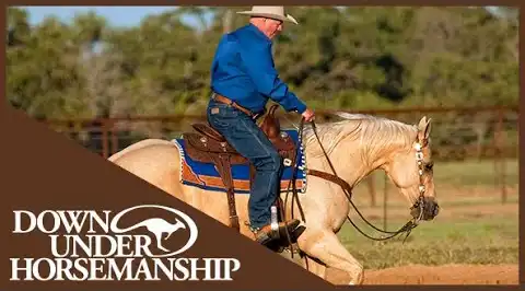 Instructional Horse Videos | Downunder