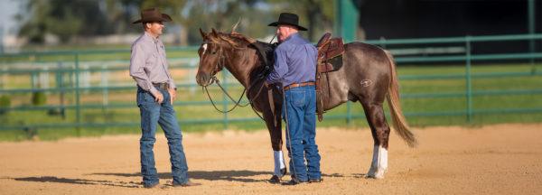 lessons-learned_meeting-ian-francis