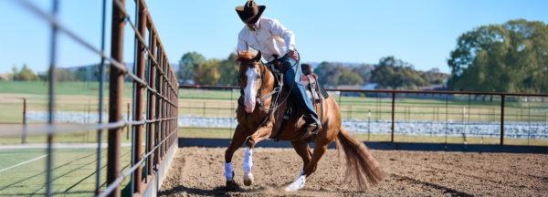training-tip_how-rollbacks-on-fence-can-improve-horse